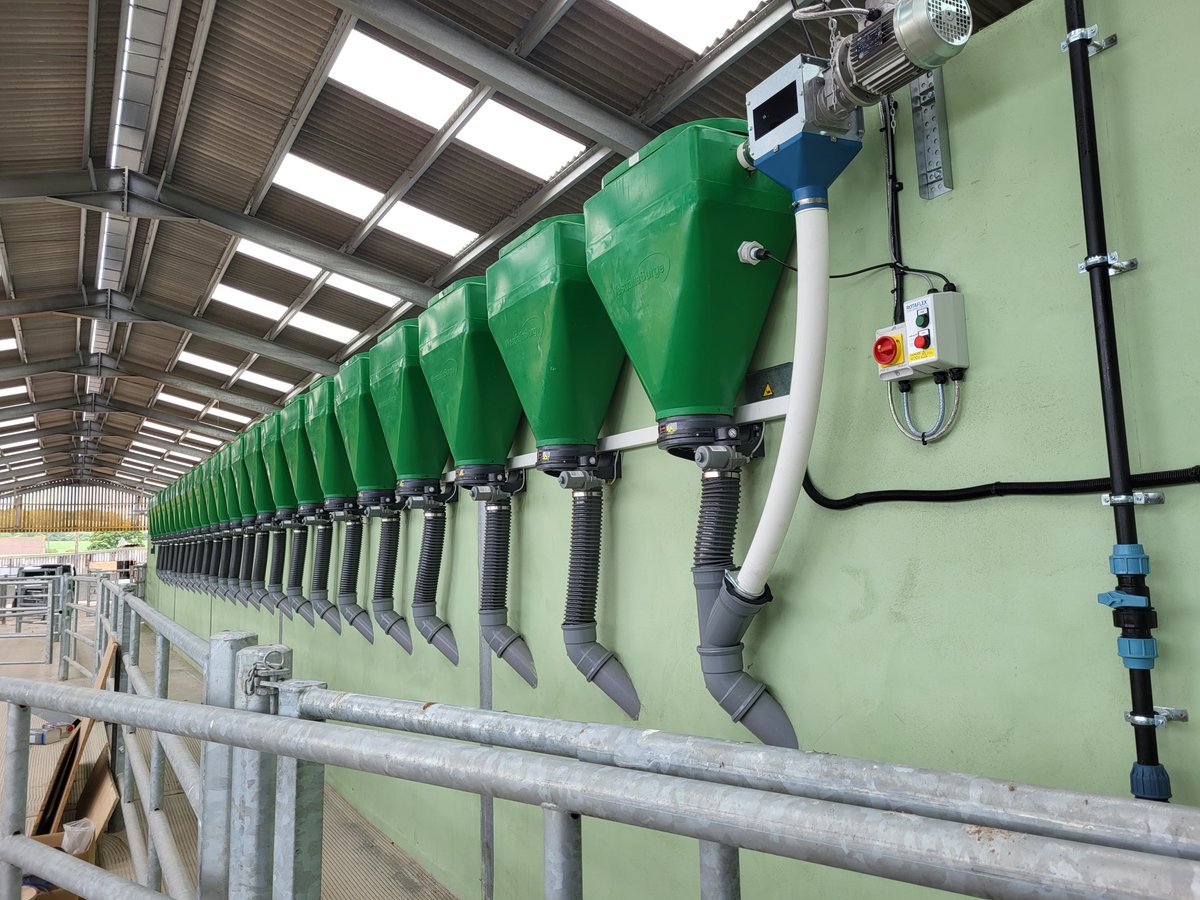 SWDairyServices's tweet photo. Another new Installation up and milking, 24/48 @GEA_farming  Herringbone complete with @hoofcount  footbath.  Thinking of updating your own parlour and increasing efficiency and herd health ? Call Tom 07814 021650 to discover what options we can offer you. https://t.co/DGizGJbXyh