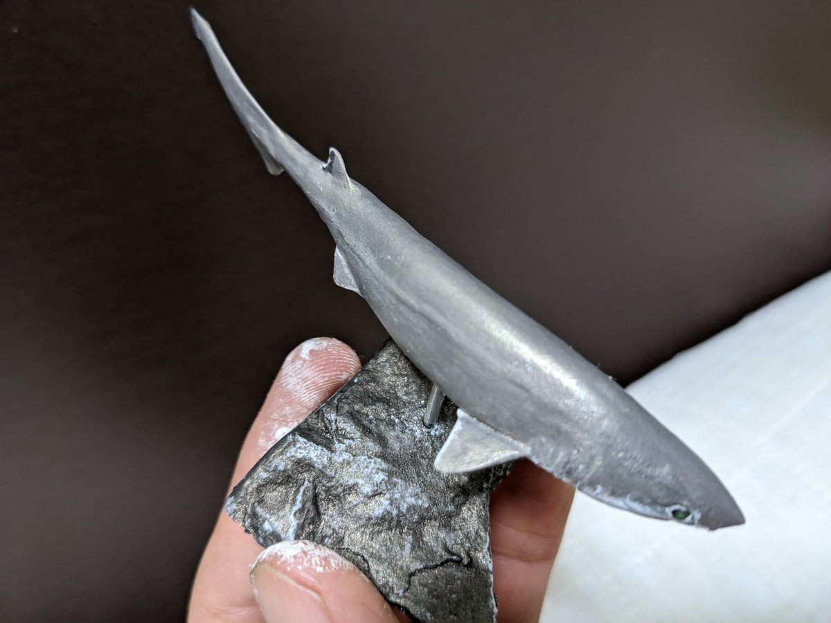 MEGALODON on Twitter 