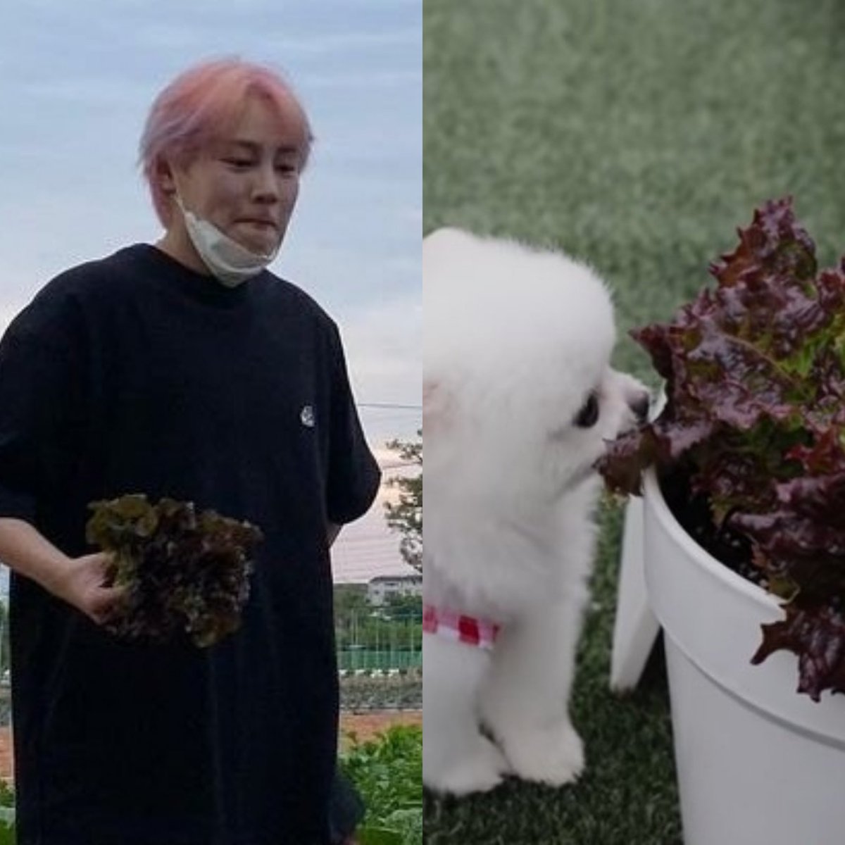 staycloud322's tweet photo. DPSE !!! 

#오늘의셍_bti https://t.co/ecez2GUWDw