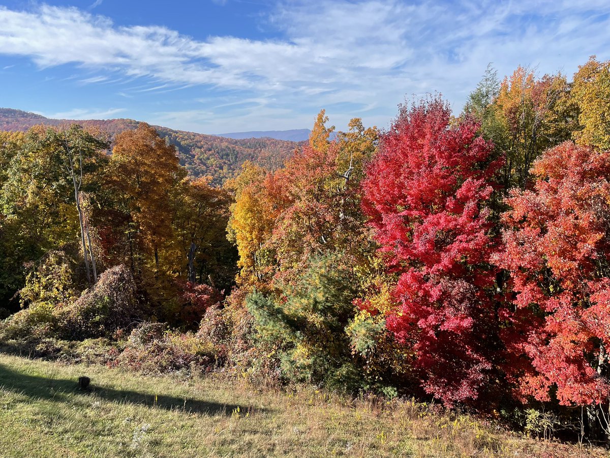 amybeumer's tweet photo. The mountains were calling. #thebesttimeisnow #gsmnp https://t.co/GPymqdztRp
