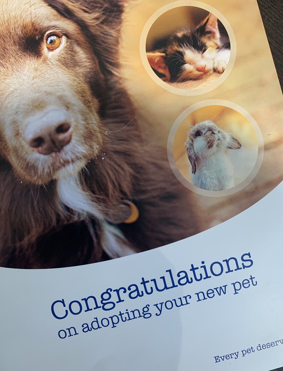 MichaelJMcB's tweet photo. Welcome to the family…officially! 
🍾🎉🥳#FosterFailures https://t.co/1R7ejnSZWV