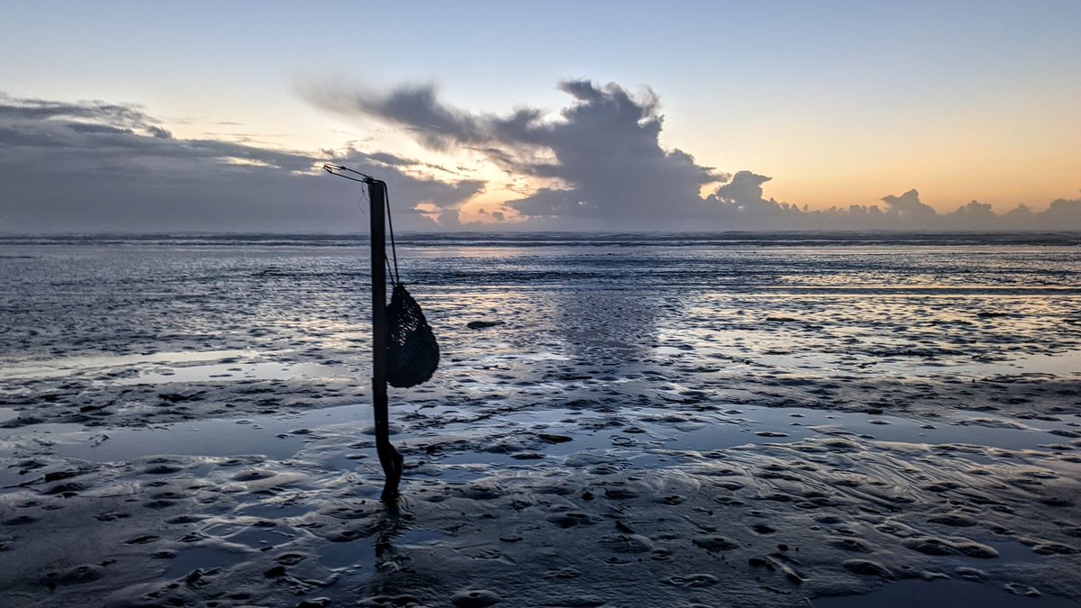 Copalis_Beach's tweet photo. #CopalisBeach #RazorClamming #sunset #WashingtonCoast https://t.co/v4s9a7dV5a
