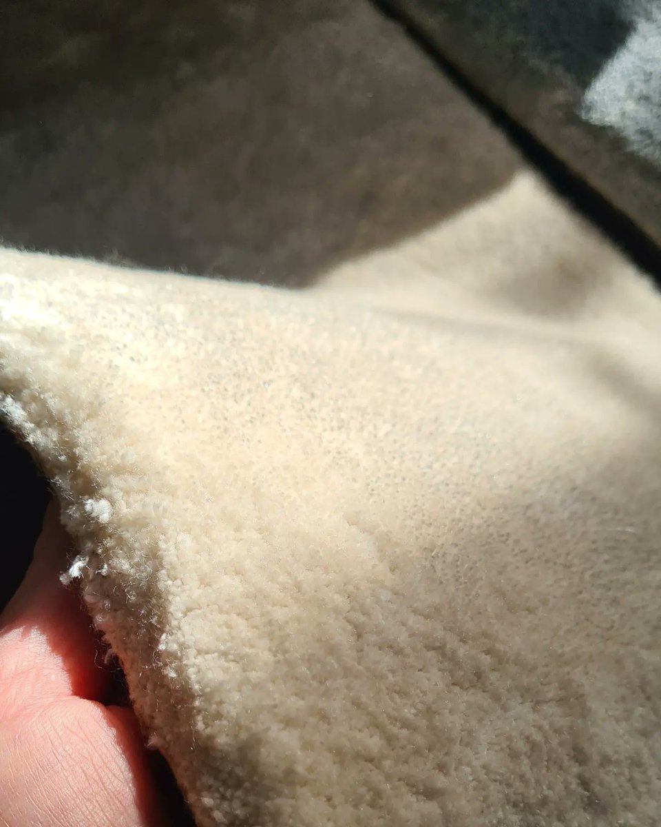 DFCiren's tweet image. We have so many gorgeous samples @riviera_home_uk is one of our favourite luxury carpet brands!! Get in touch for a free quote or samples 😁📧🌟sales@dfciren.co.uk #cirencestercarpet #carpetsamples #cotswoldhome