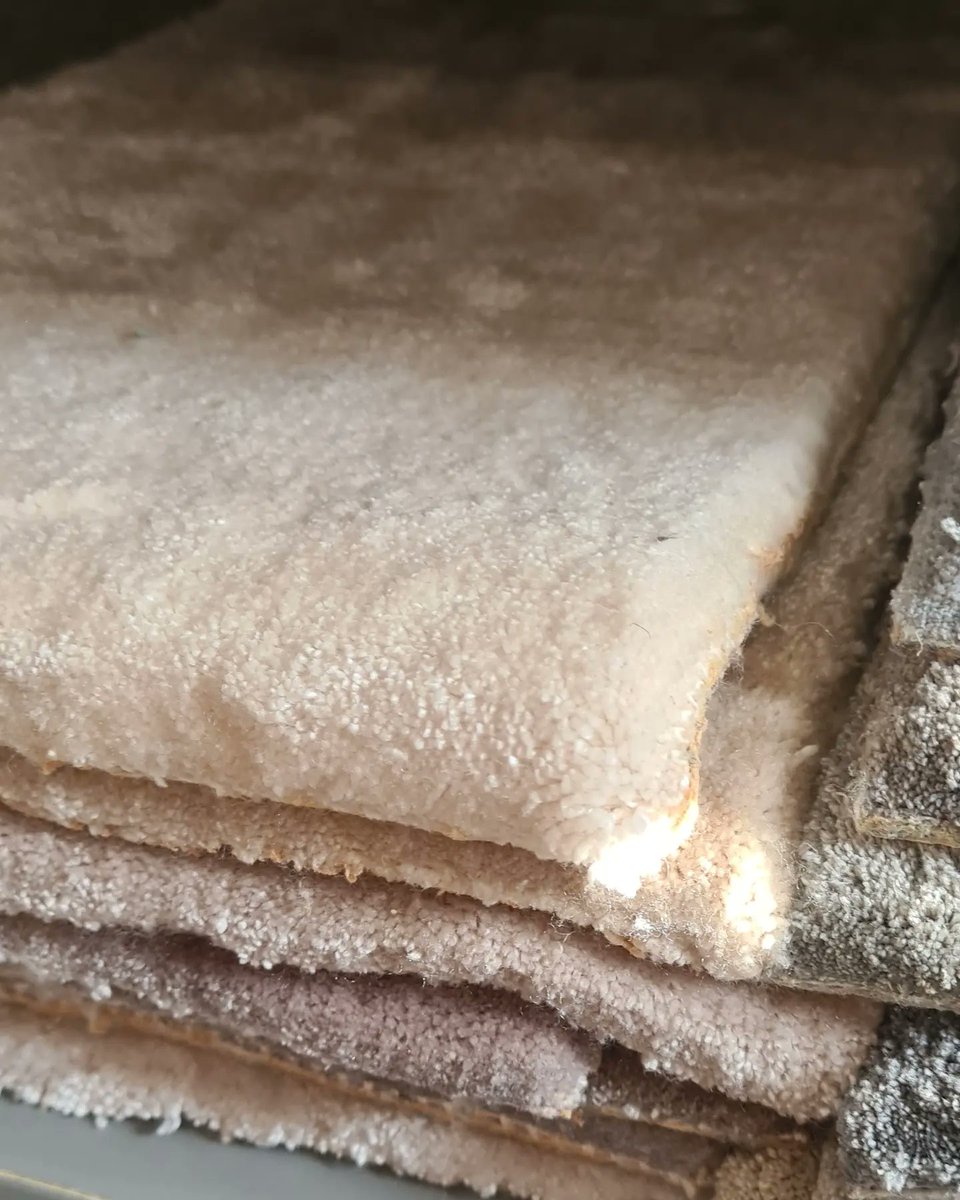 DFCiren's tweet image. We have so many gorgeous samples @riviera_home_uk is one of our favourite luxury carpet brands!! Get in touch for a free quote or samples 😁📧🌟sales@dfciren.co.uk #cirencestercarpet #carpetsamples #cotswoldhome