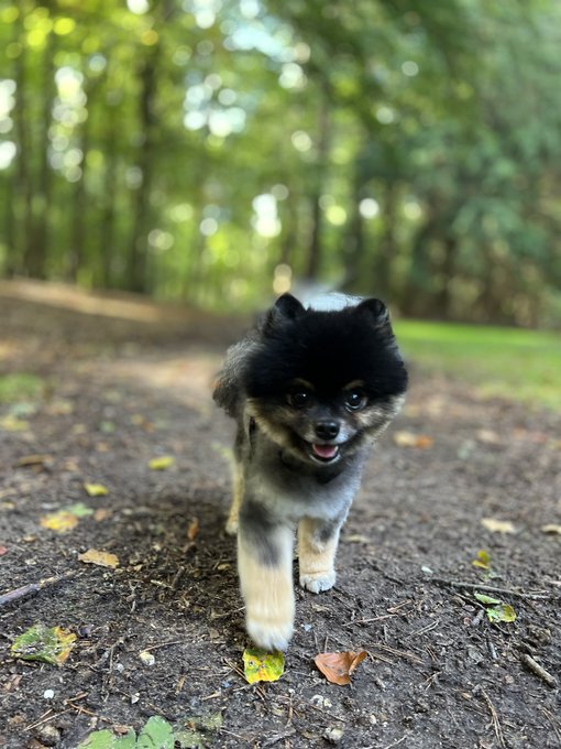 Every time I try to work I feel too dizzy and have to stop 😞   My body is always shaking. I really want