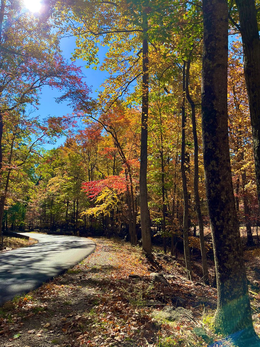 Jane Milner tweet media