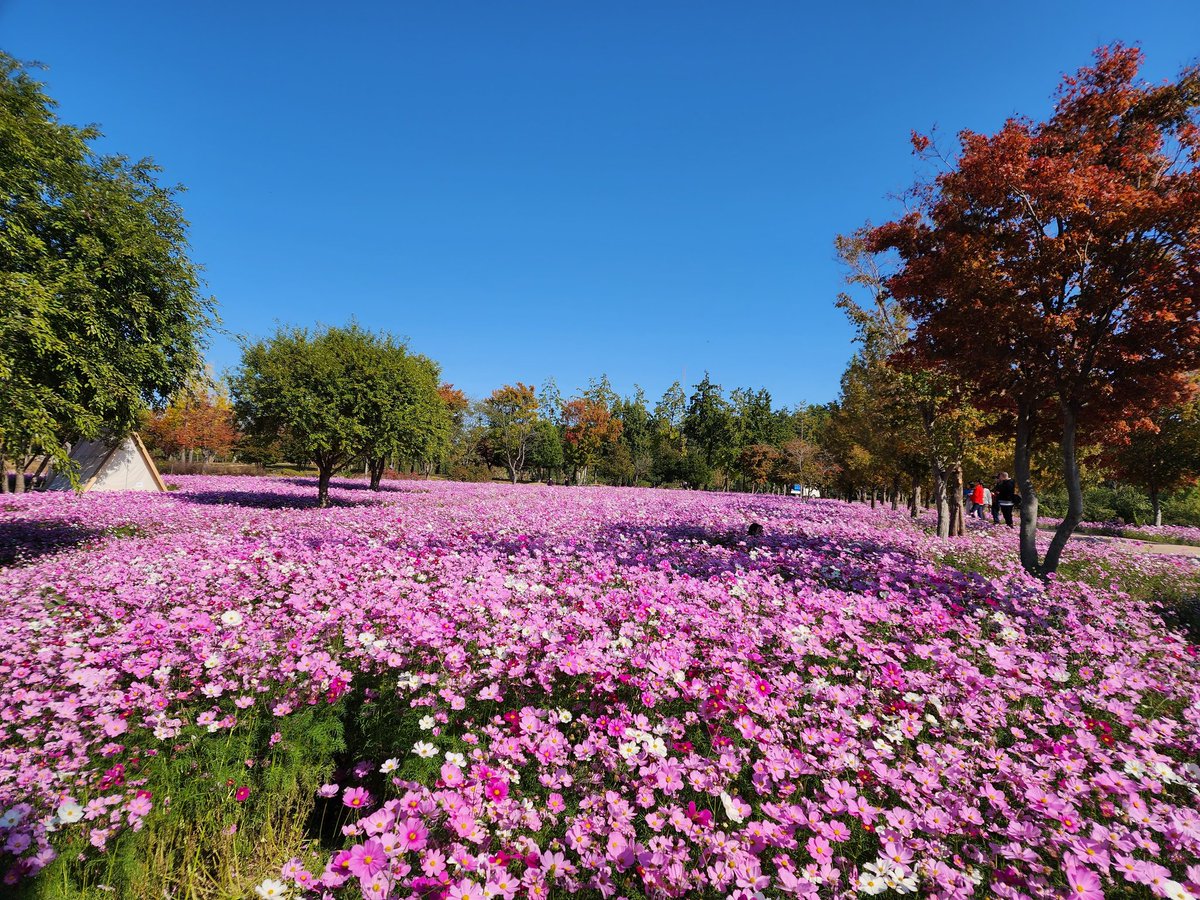 그냥 보는 것만으로도 힐링
