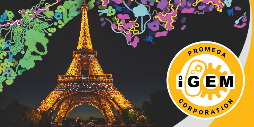 It's finally time 😍 The Grand Jamboree is here. We are excited and looking forward to meet our Promega sponsored iGEM Teams. Feel free to stop by our booth for a chat and little surprises. 
À bientôt!