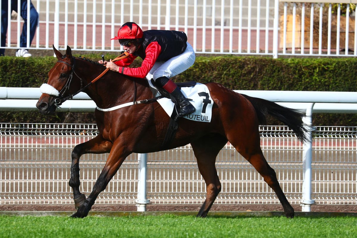 Jour de Galop tweet media