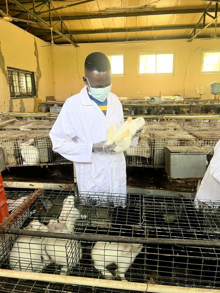 lunychang's tweet photo. Diagnostics Rabbit viral haemorrhagic disease
(RVHD) https://t.co/RhgPXGrBEn