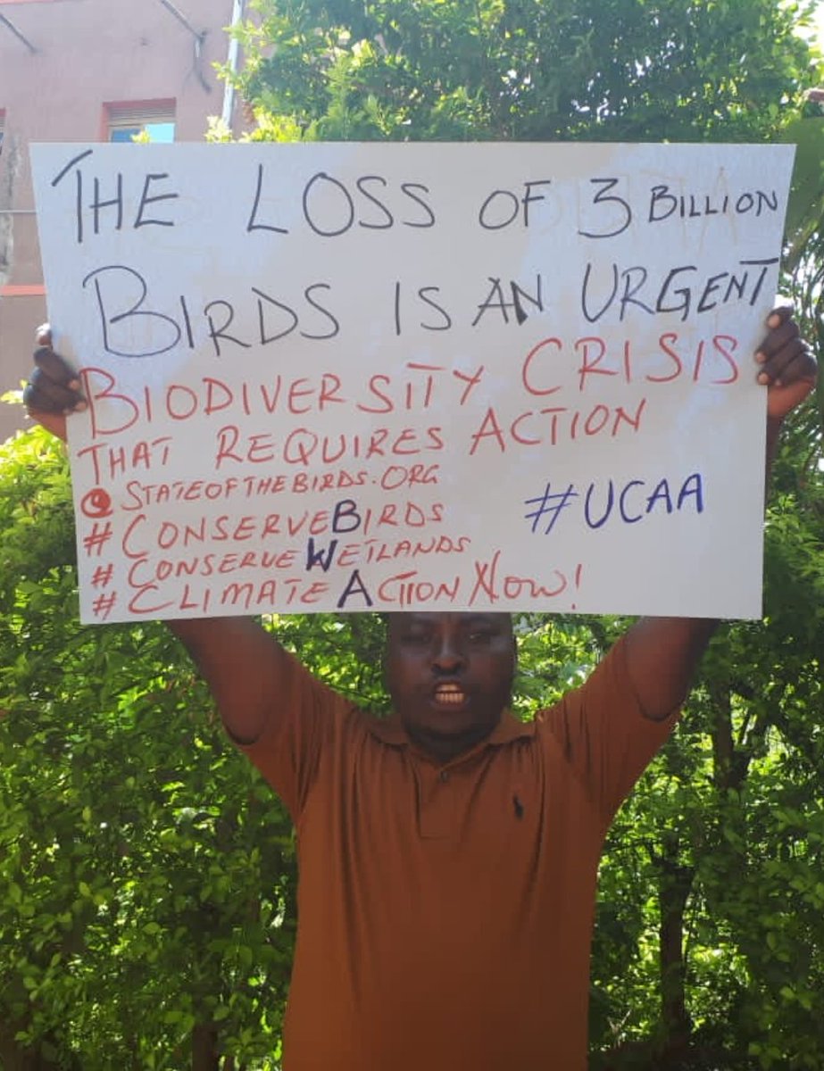 andrew_climate's tweet image. Action Needed —70 Bird Species Are at a Tipping Point.
@Stateofthebirds.org
#ConserveBirds🐔
#ConserveWetlands
#ClimateActionNow