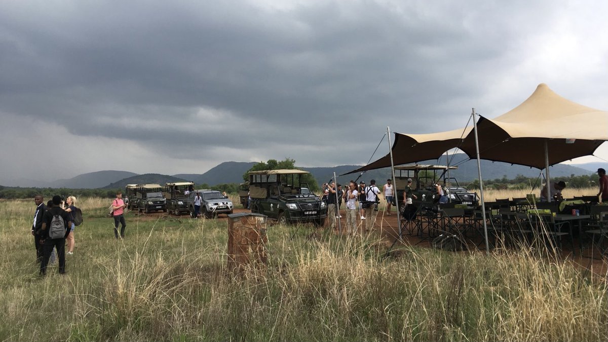 ReelEpics's tweet photo. #DidYouKnow🤔 We offer full production services in South Africa, Namibia and Botswana!

Using our logistical mastery, we ensure your production runs smoother than a dolly on tracks🎥🎞🎬

For more info, visit https://t.co/VS6gY51oxv💻

#MakeItEpic #FilmInAfrica #BeautyOfAfrica🌅 https://t.co/aSziCwdJWd