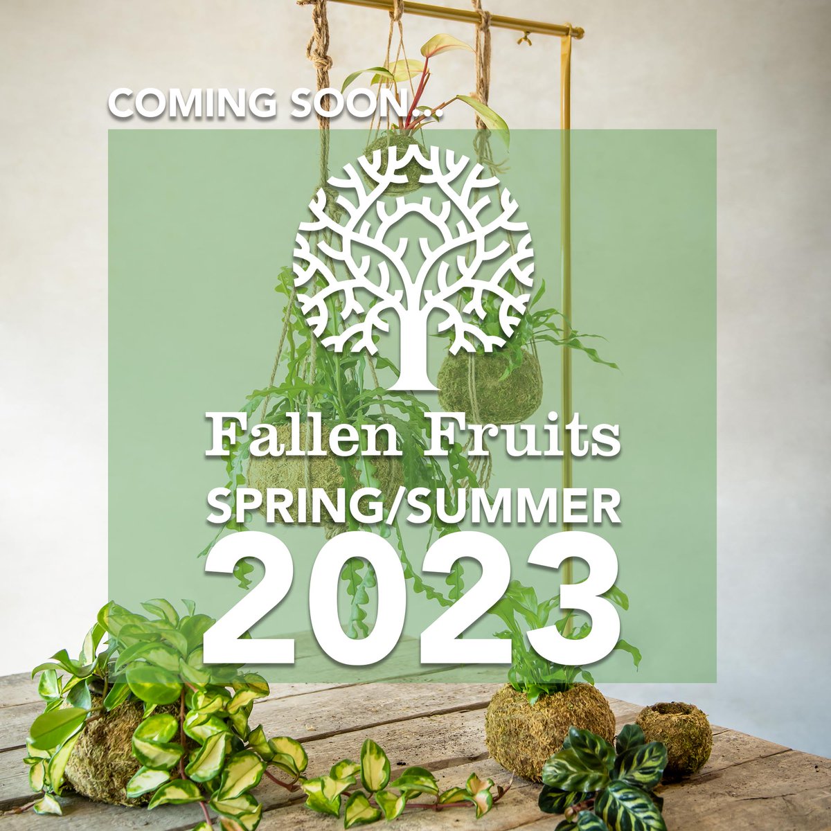 Fallen Fruits ltd tweet media