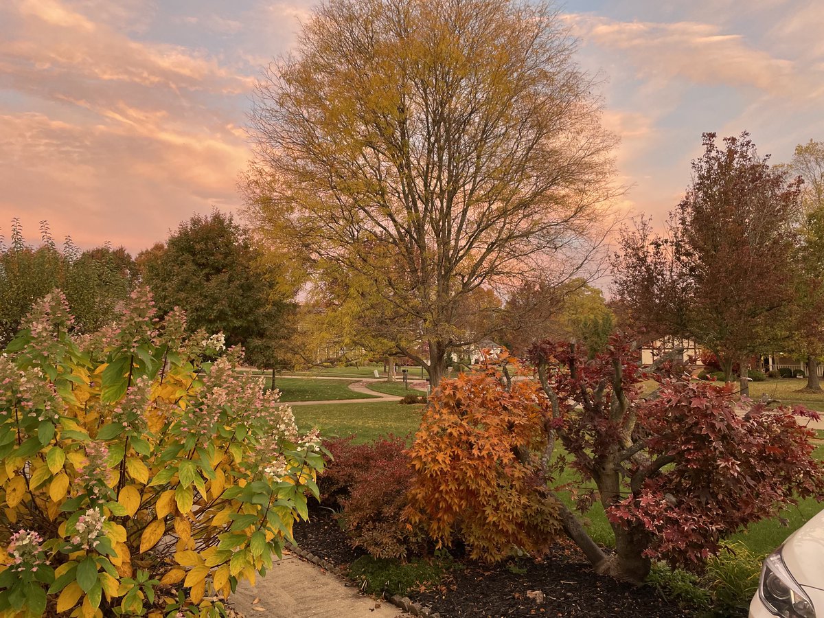 Xue-Long Sun tweet media