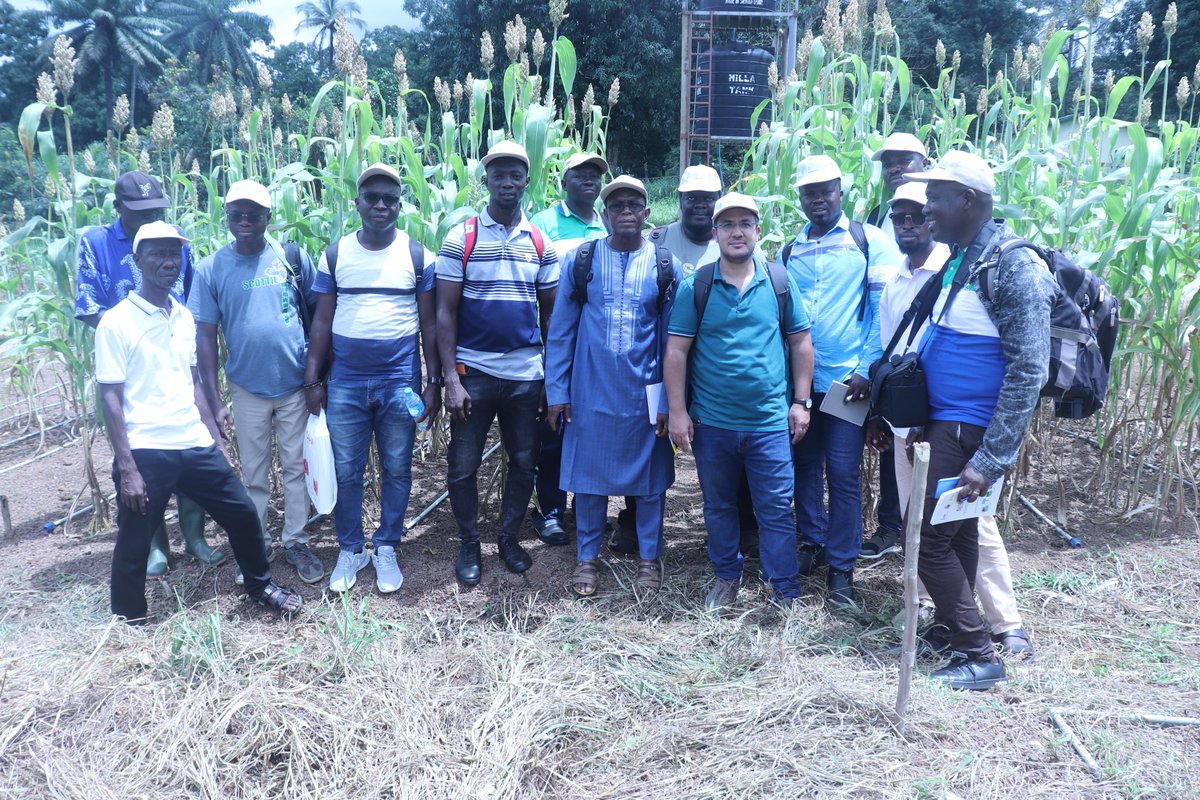 ICBAAgriculture's tweet photo. As part of the #RESADE project, supported by @IFADnews and @badeabank, #ICBAAgriculture recently conducted two training courses in Sierra Leone and Mozambique, attended by 20 project partners from Mozambique, Botswana, Liberia, Gambia, Togo and Sierra Leone.🧵 https://t.co/7gpO2bY6Pk