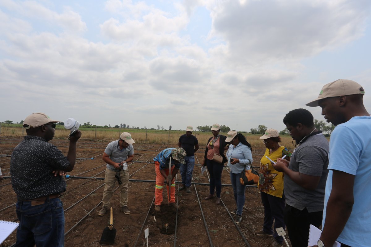 ICBAAgriculture's tweet photo. As part of the #RESADE project, supported by @IFADnews and @badeabank, #ICBAAgriculture recently conducted two training courses in Sierra Leone and Mozambique, attended by 20 project partners from Mozambique, Botswana, Liberia, Gambia, Togo and Sierra Leone.🧵 https://t.co/7gpO2bY6Pk