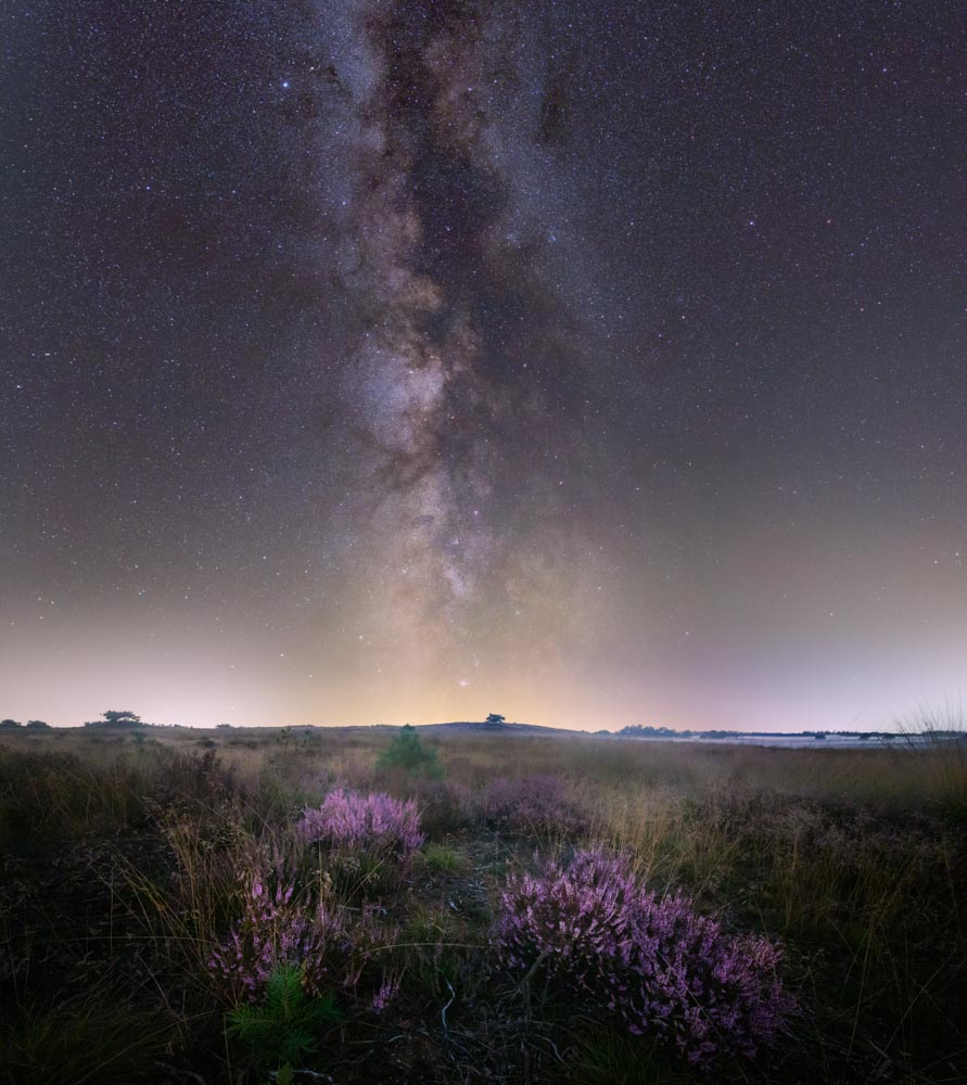 Vanavond vieren we Nacht van de Nacht. Bedrijven, gemeenten en particulieren doven de lichten zodat we kunnen ervaren hoe mooi de nacht kan zijn. 

Doe jij mee aan een van onze activiteiten? Tag ons dan en deel je mooiste foto's. met #nachtvandenacht.

#laathetdonkerdonker