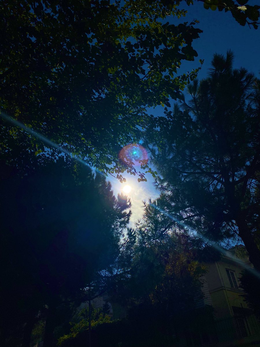 gonusay's tweet photo. Eclipse of the sun💛

#Eclipse #Eclipse2022 #SolarEclipse2022 #eclipseofthesun #solareclips #güneştutulması https://t.co/nBugTJnQoM