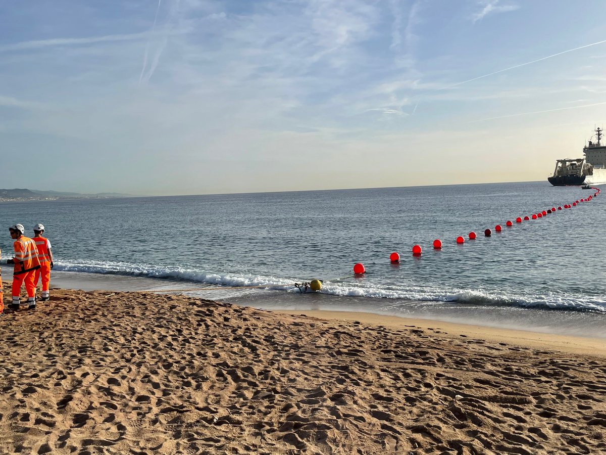 David Ferrer i Canosa🎗 tweet media