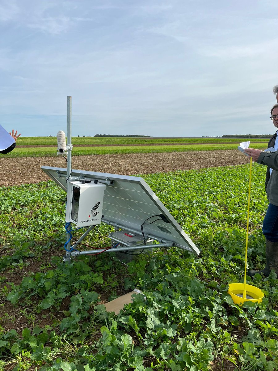 Présentation par l’équipe Fermes LEADER de l’outil d’analyse d’insectes volant en temps réel #Vuolito de <a href="/FaunaPhotonics/">FaunaPhotonics</a> pour la surveillance des #insectes #ravageurs &amp; la mesure de la #biodiversité sur #openfield23 🦗🦋