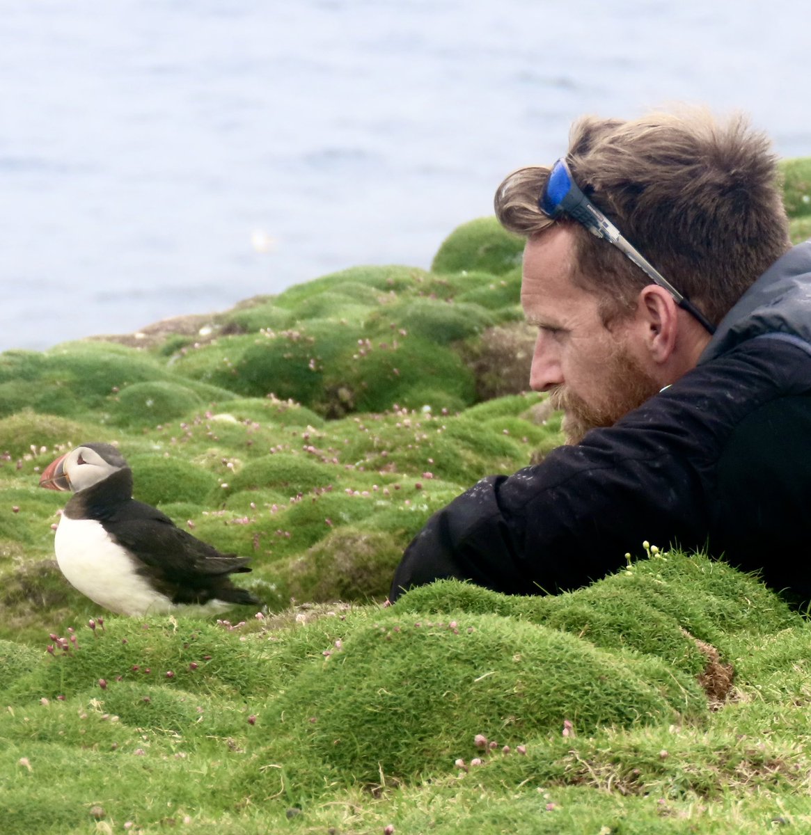 As winter approaches, I’m still dreaming of summer. Chatting with a puffin in the rain. 

#HappyExpeditionLeader #BritishIsles #Ireland #Arctic #Seabirds #naturephotography #birdnerd #falmouthuni #environment #marineandnaturalhistory