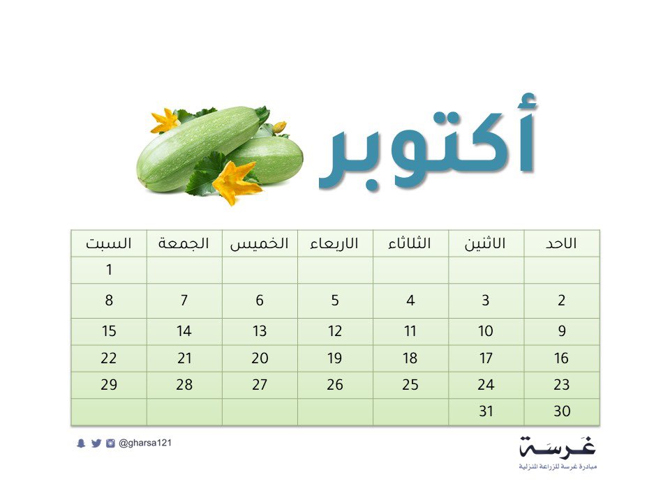 #ماذا_نزرع في أكتوبر 

التفاصيل على الرابط

instagram.com/p/CkGORY7stoq/…

#غرسة #الاستدامة #الزراعة_المنزلية #الزراعة_الحضرية #قطر_خضراء #التغير_المناخي #الأمن_الغذائي #الاكتفاء_الذاتي