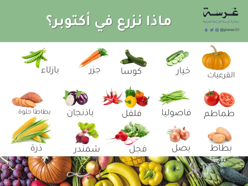 GharsaQA's tweet photo. #ماذا_نزرع في أكتوبر 

التفاصيل على الرابط

https://t.co/nNgn4RtCXV

#غرسة #الاستدامة #الزراعة_المنزلية #الزراعة_الحضرية #قطر_خضراء #التغير_المناخي #الأمن_الغذائي #الاكتفاء_الذاتي https://t.co/VjNHG9H9ok