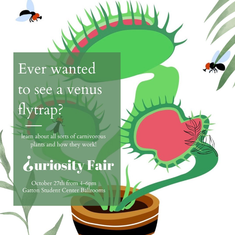 uk_curiosity's tweet photo. Come see predatory plants and more, this week at the Curiosity Fair! https://t.co/kOt844fvqy
