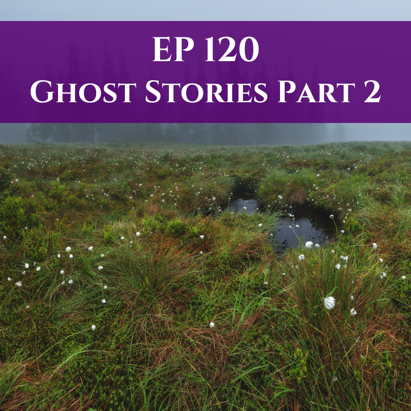 possiblyhaunted's tweet photo. Settle in and get ready for the second part of our Ghost Stories series! 📖👻

#phpodcast #possiblyhaunted #podcast #haunted #creepy #spooky #spookychicks #ghost #ghoststories #hauntedtales #bog #bogstories #bewarethebog #anchor #spotify #googlepodcast #applepodcast #stitcher https://t.co/JvvhxGgrmE