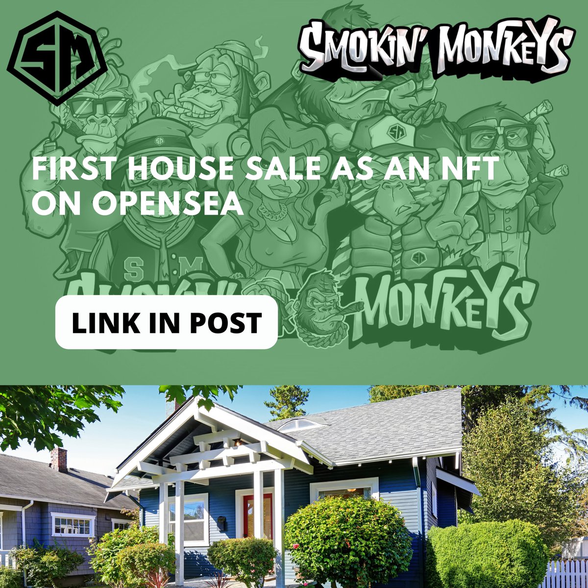 SMOKIN’ MONKEYS tweet media