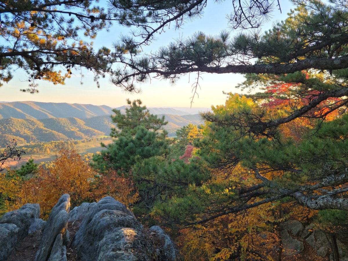 We're hiring two TT assistant professors. One in genetics and one in micro. See posts below. The New River Valley is a beautiful place to live and we have fun! This is <1hr from campus.