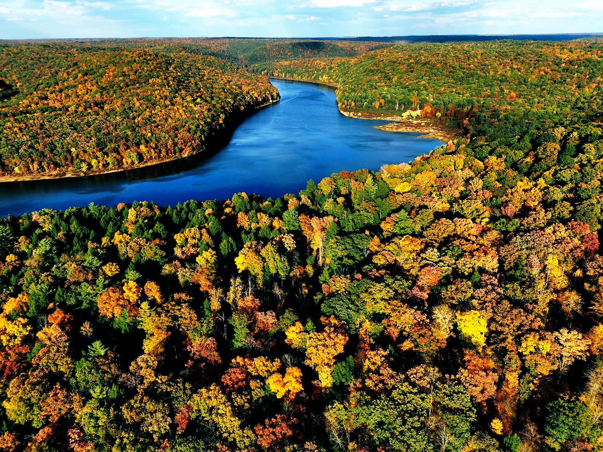 ClarionFootball's tweet photo. Clarion in the Fall 🍁🍂😍

#WingsUp https://t.co/DnqFcU66qF
