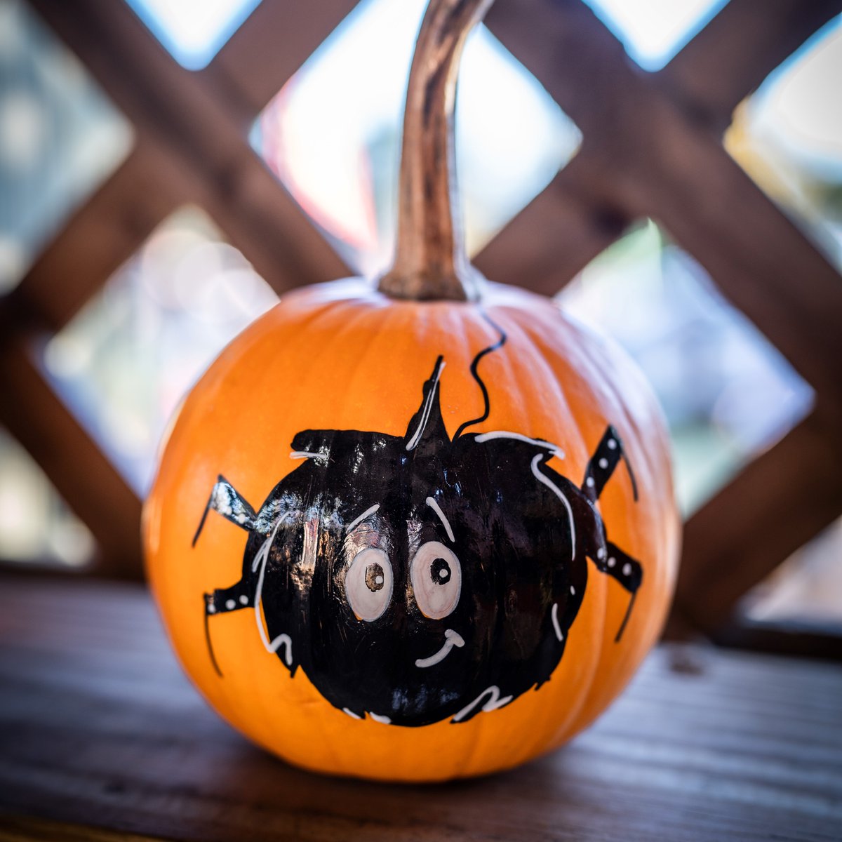 With spooky season now upon us, @demontfortsu is putting on a range of fangtastic Halloween events 🎃

Tomorrow, as part of Wellbeing Wednesday, there will be pumpkin painting in the Campus Centre from 11am to 1pm 👉 bit.ly/3gGCSI1 👈