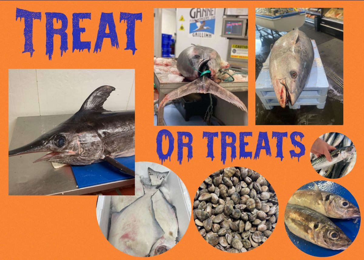 Gannet Fishmongers tweet media