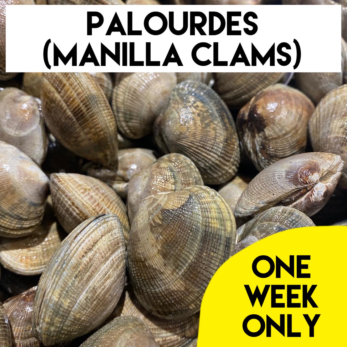 Gannet Fishmongers tweet media