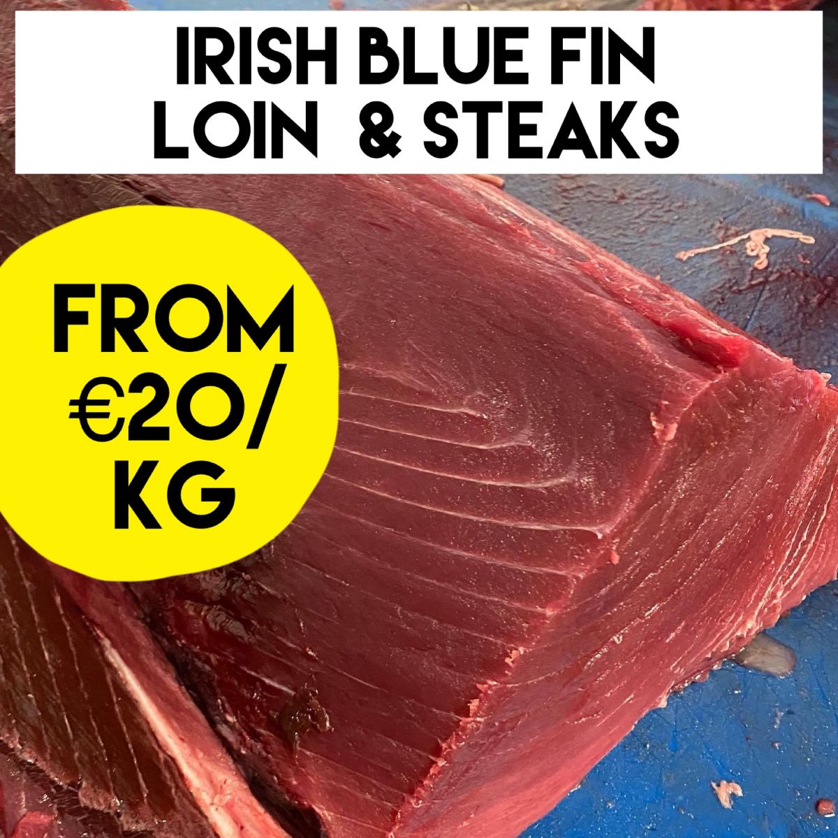 Gannet Fishmongers tweet media