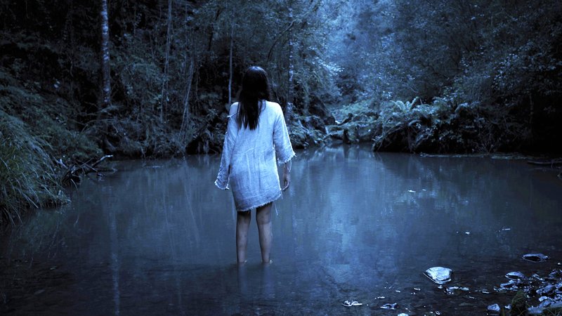GoXtraNews's tweet photo. Terror in Tsitsikamma: Gaia Brings Halloween Closer to Home This Year via @ShowmaxOnline!
 https://t.co/gjmEE2wk9v https://t.co/cHA8J2cOuT