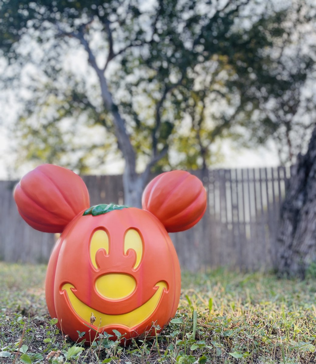 What do you have to be okay about? Make a list and link up with Hey, It's Okay!

I'm okay that I bought this cool Mickey Mouse pumpkin from @shopDisney.

I'm also okay with:

airingmylaundry.com/2022/10/hey-it…