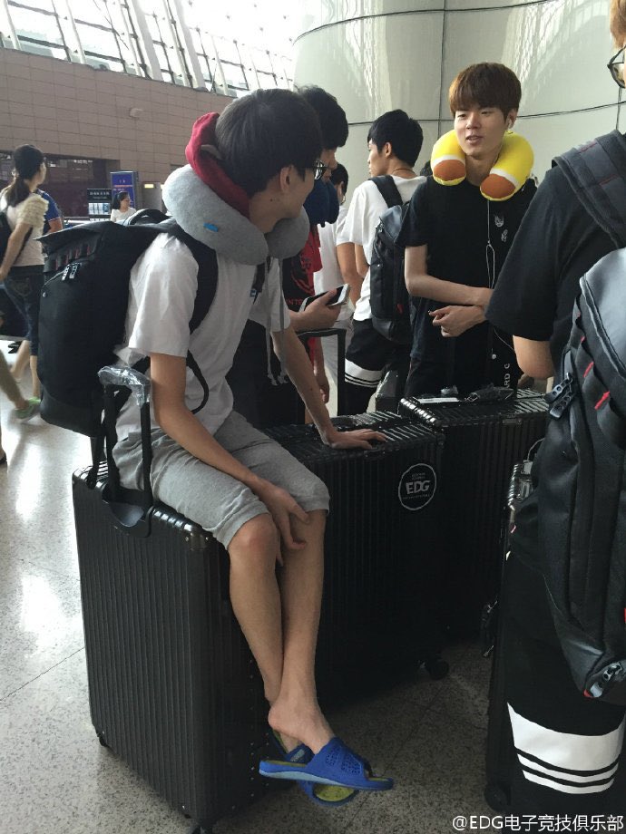 on-twitter-luggage-too-big-or-meiko-too-small
