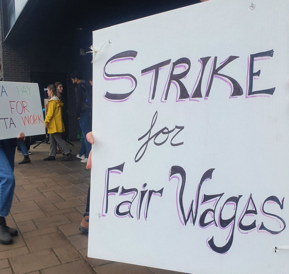 Sam Krawec tweet media