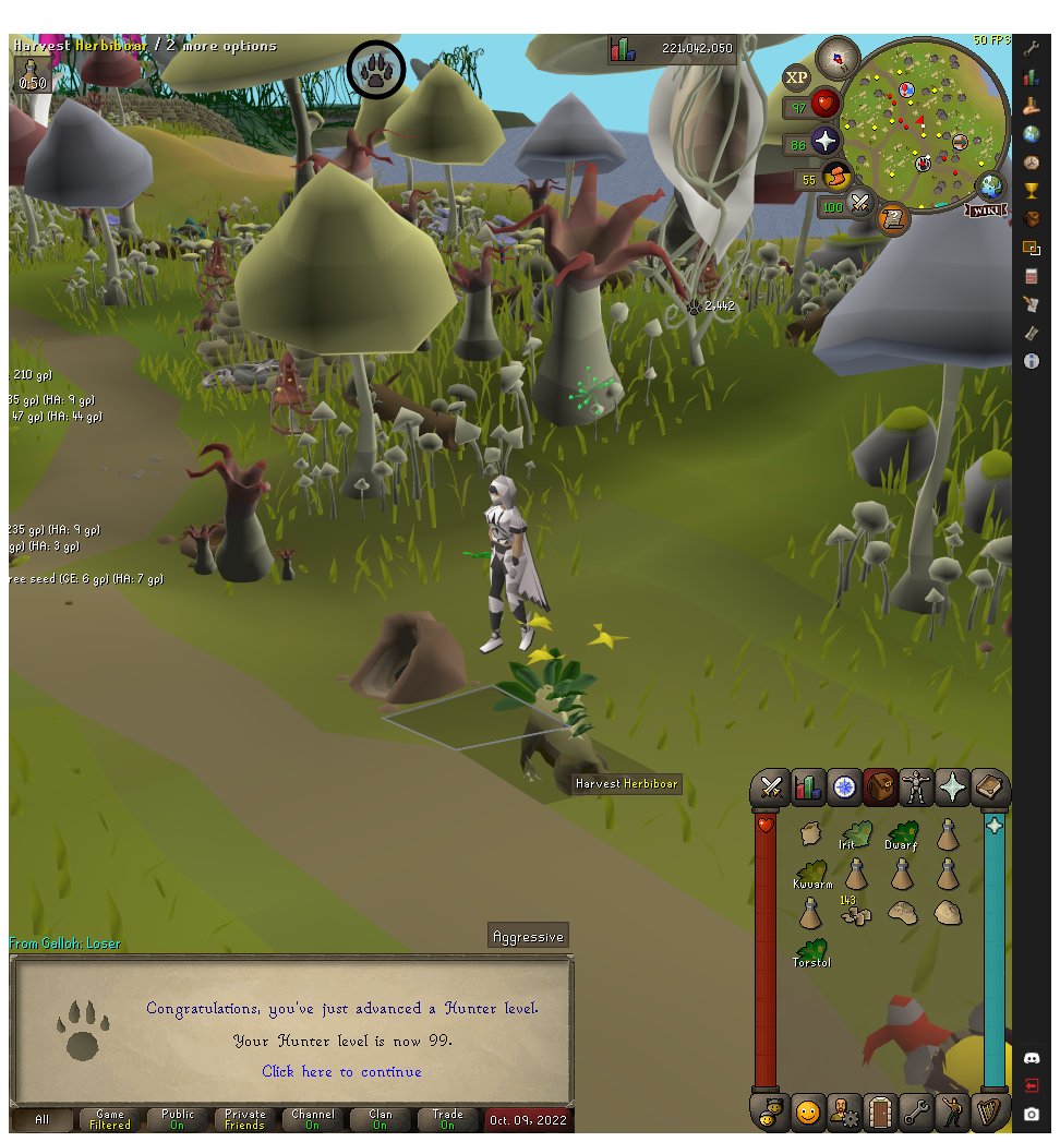 Chesca_OSRS's tweet photo. Back after a 2 year break and I got 99 hunter! https://t.co/i0W9M2H0xw