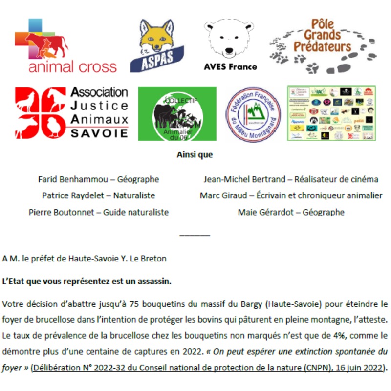 Animal Cross tweet media