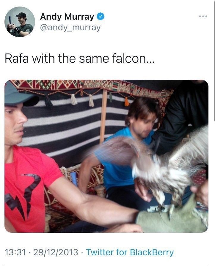 Andy Murray and Rafa Nadal spending some quality time with a falcon