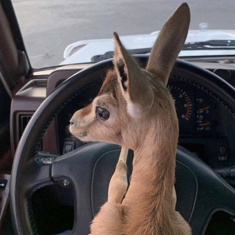 ㅤㅤㅤㅤ

͏ 

͏لا يخيفني ضعفي بقدر م تخيفني قوتي 
اخشى أن لا انحني حين يلزمني الأنحناء