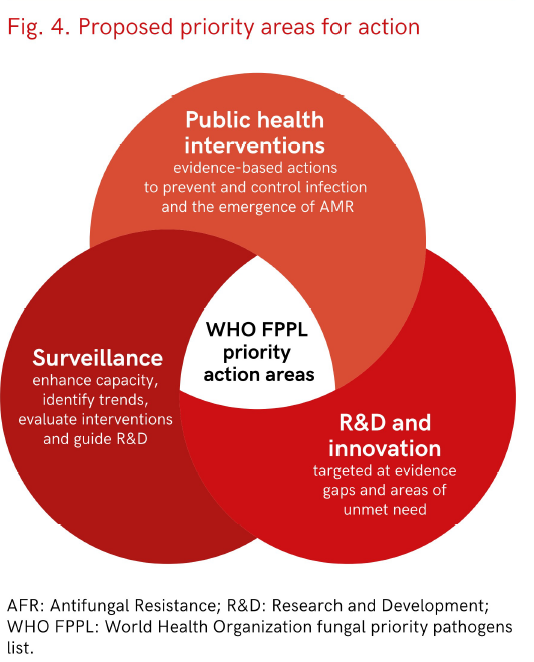 Ana_Alastruey's tweet photo. These are the priority areas for action that the Fungal Priority Pathogen List report has identified #FPPL @WHO https://t.co/FnedPmd0ot