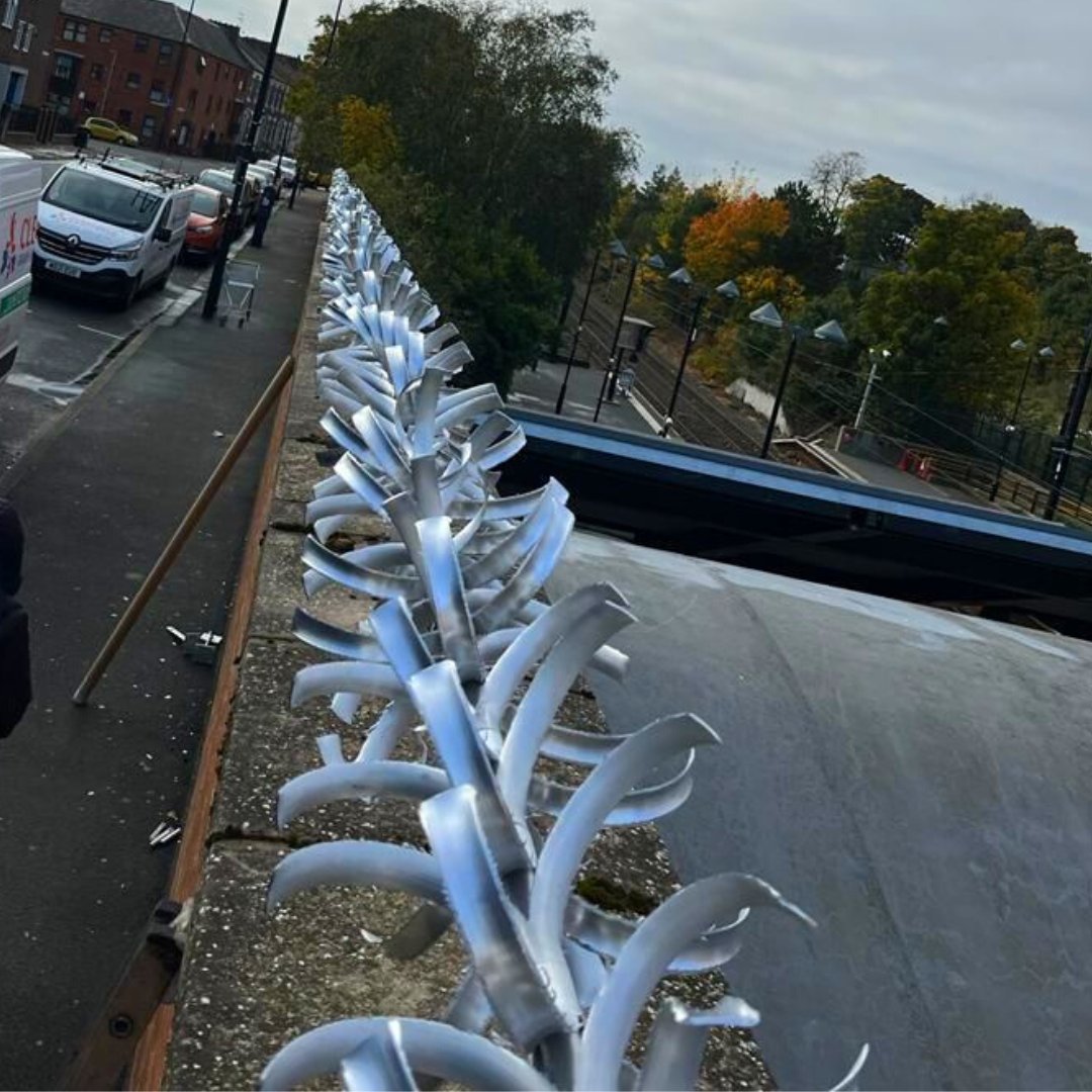 CleanItUK_Group's tweet photo. Our team recently completed a successful installation of anti-climb for a client in North Shields on the walls of the metro station. Great work as always team!

#cleanitukgroup #anticlimb #metrostation https://t.co/IMMhSuUUD3