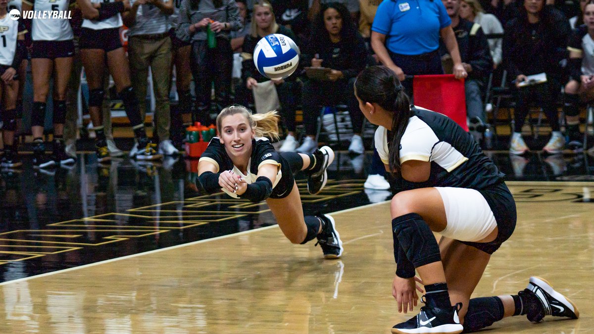 NCAA Women's Volleyball tweet media