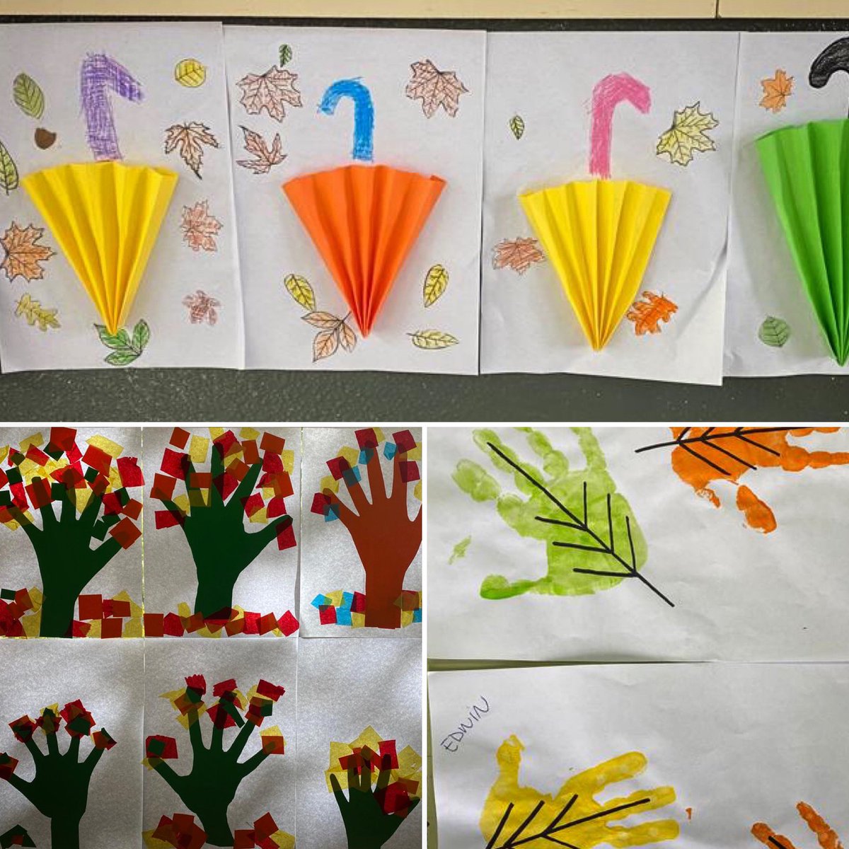 Teca & Xerinola tweet media