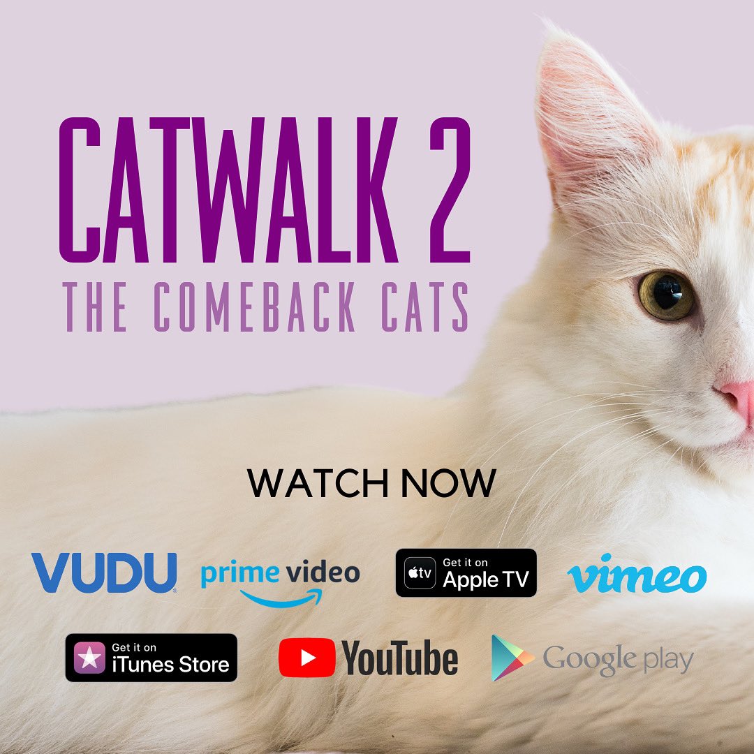 Need something to watch tonight!? You can catch Catwalk 2: The Comeback Cats on your favourite U.S. VOD platform 😺