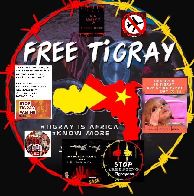 Asqual17's tweet photo. #TigrayGenocide #StopbombingTigrayCivilians #EritreanTroopsOutOfTigray #Ethiopian &amp;Eritrean Genocider  719 Days Blockade 7Millionpeople UnderSiege &amp;attack #StopwaronTigray #endtigraySiege #stopTigray Genocide #FreeTigray@UN https://t.co/wd0WJmpNV2